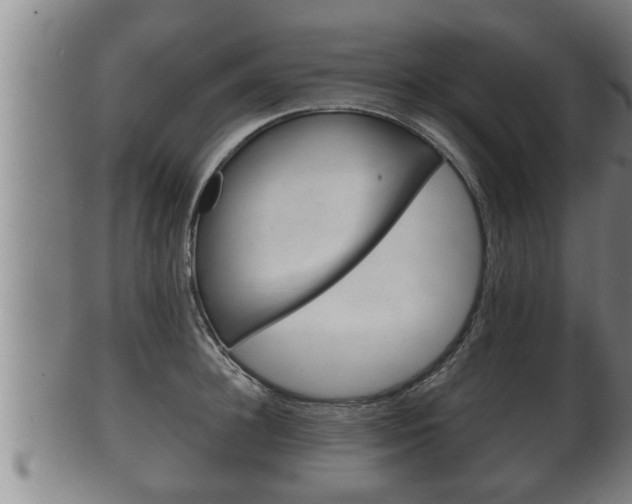 X0000100370948200806060759