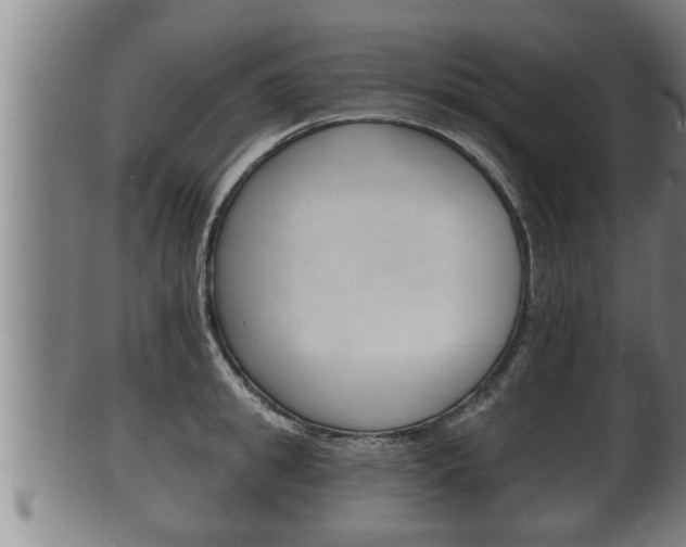 X0000100370949200806060759