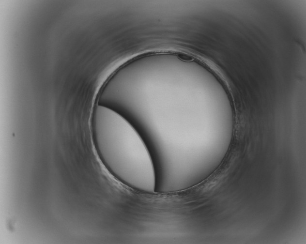 X0000100370951200806060759