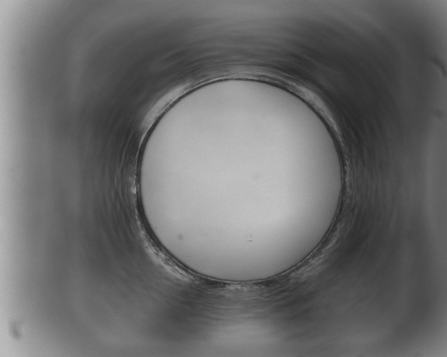 X0000100370954200806060759