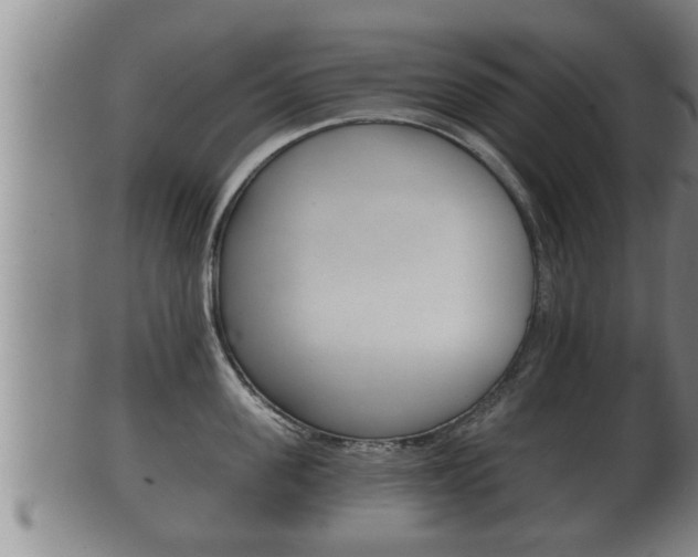X0000100370955200806060759