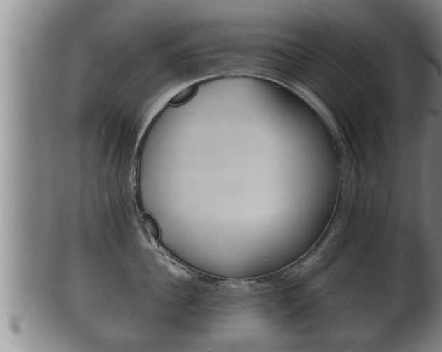 X0000100370956200806060759