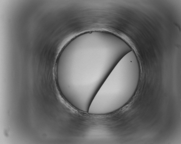 X0000100370958200806060759