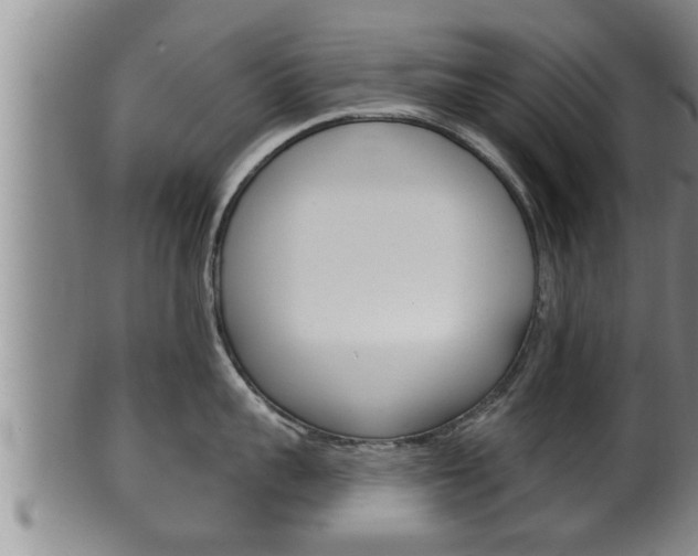 X0000100370959200806060759
