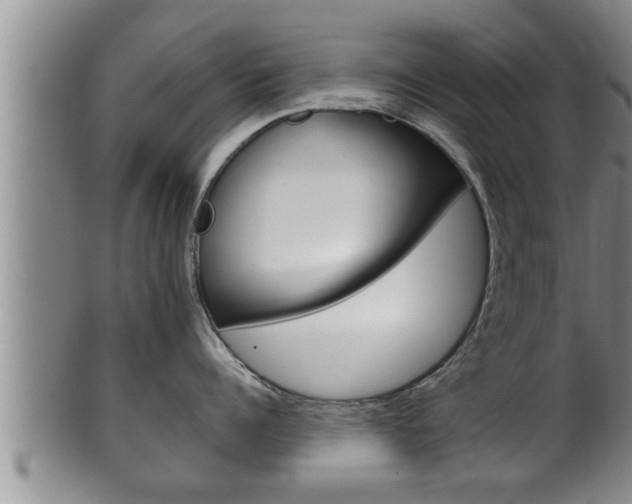 X0000100370960200806060759