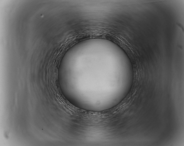 X0000100370961200806060758