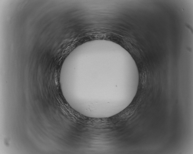 X0000100370962200806060758