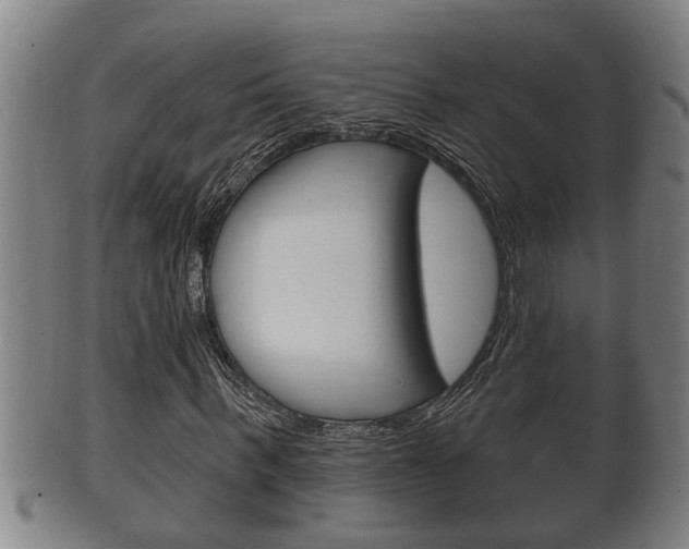 X0000100370963200806060758