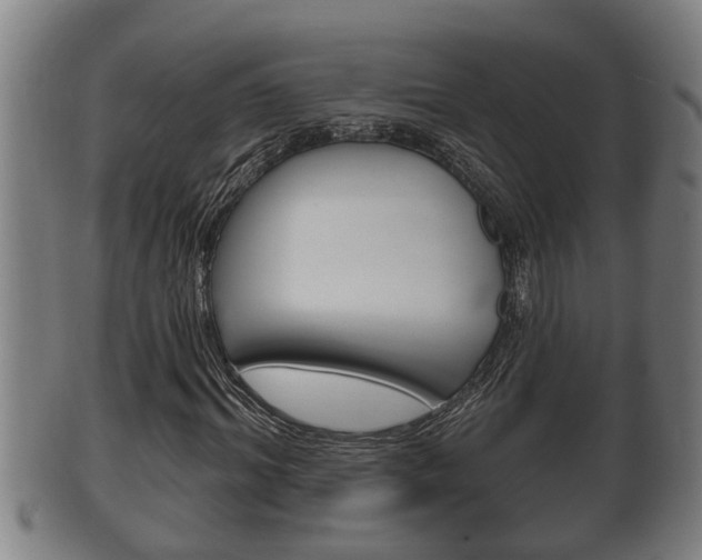 X0000100370964200806060758