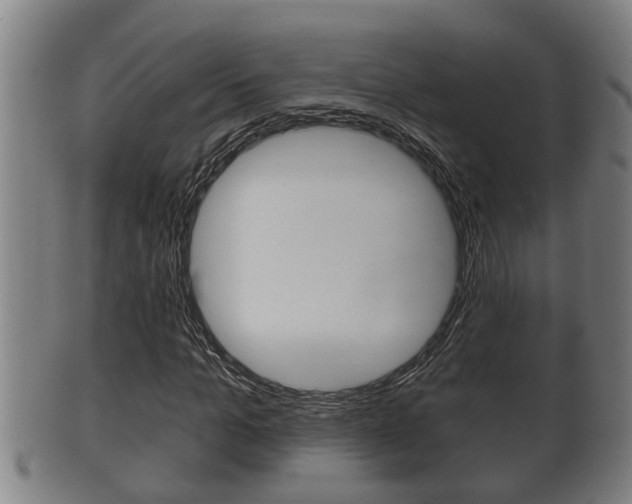 X0000100370965200806060758