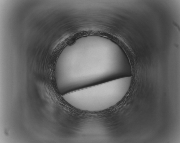 X0000100370967200806060758