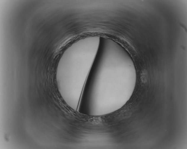 X0000100370968200806060758