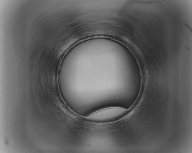 X0000100370969200806060758