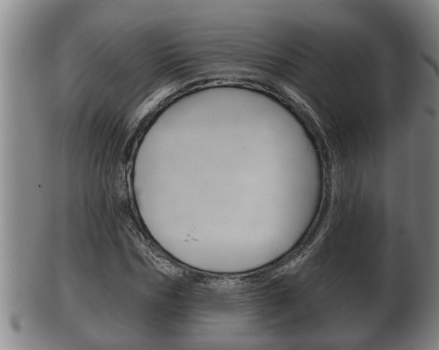 X0000100370970200806060758