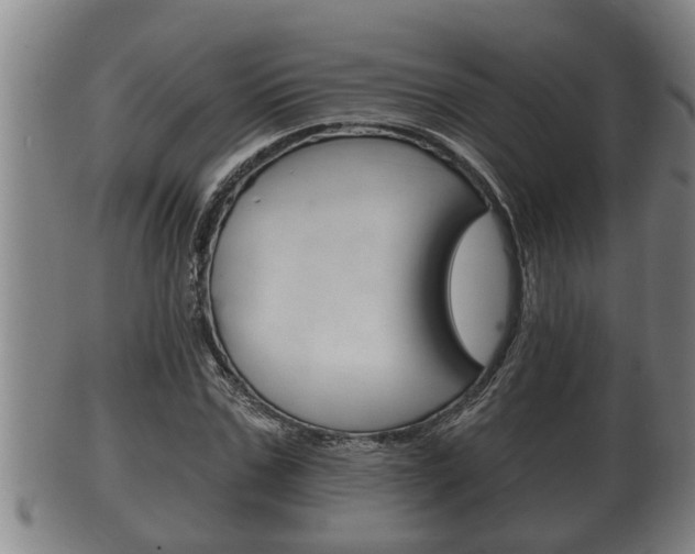 X0000100370971200806060758