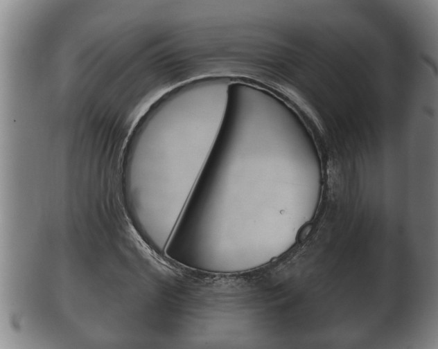 X0000100370972200806060758