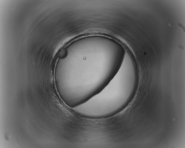 X0000100370973200806060758