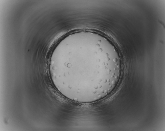 X0000100370974200806060758