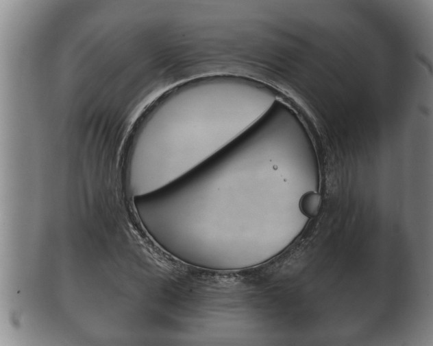 X0000100370975200806060758