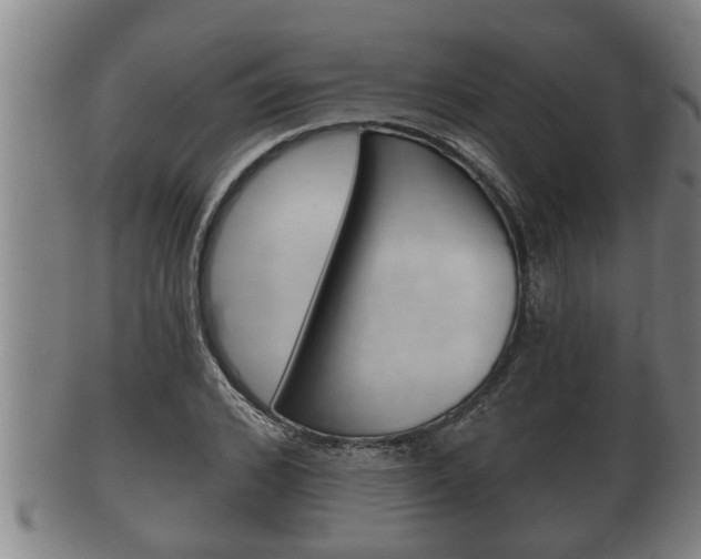 X0000100370976200806060758