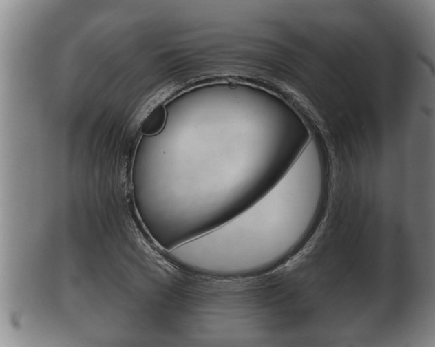 X0000100370977200806060758