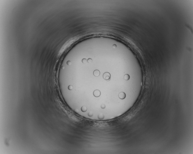 X0000100370978200806060758