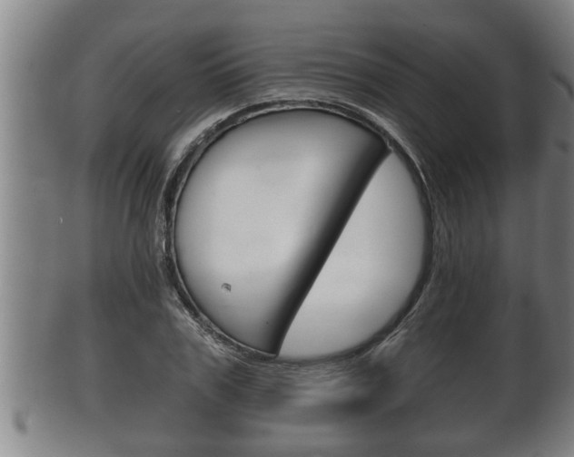 X0000100370979200806060758