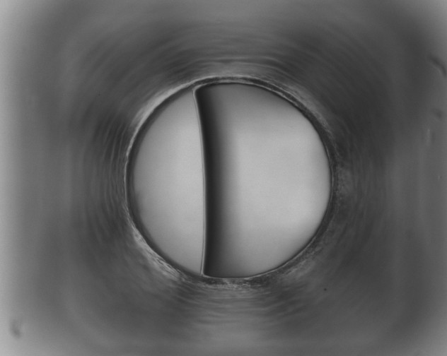 X0000100370980200806060758