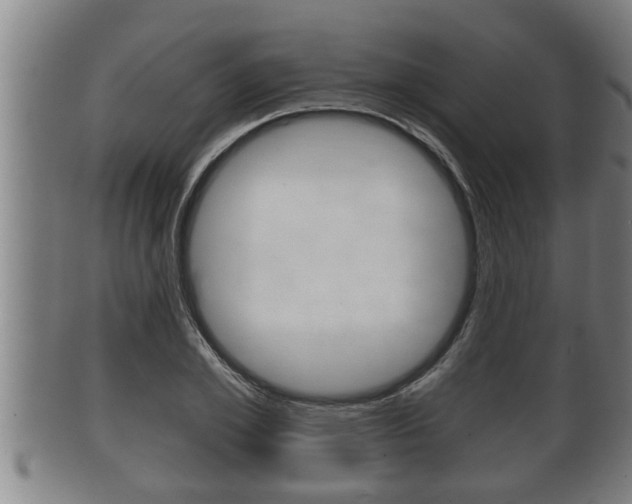 X0000100370981200806060758