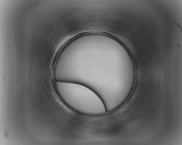 X0000100370982200806060758
