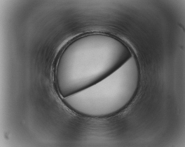 X0000100370983200806060758