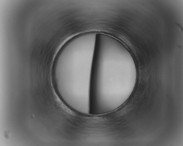 X0000100370984200806060758