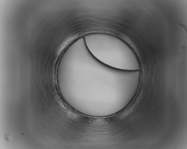 X0000100370986200806060758