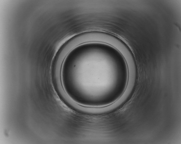 X0000100370987200806060758