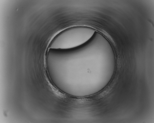X0000100370988200806060758