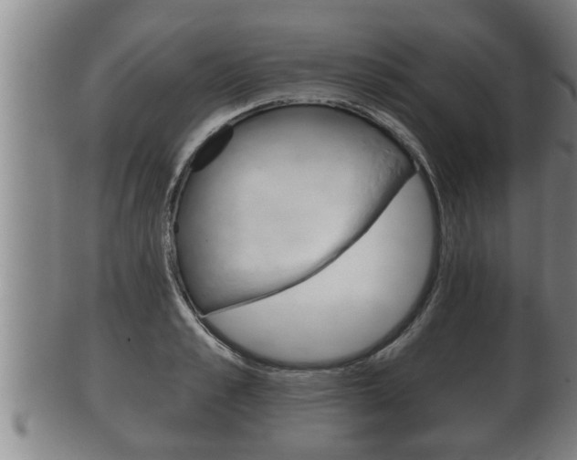 X0000100370989200806060758