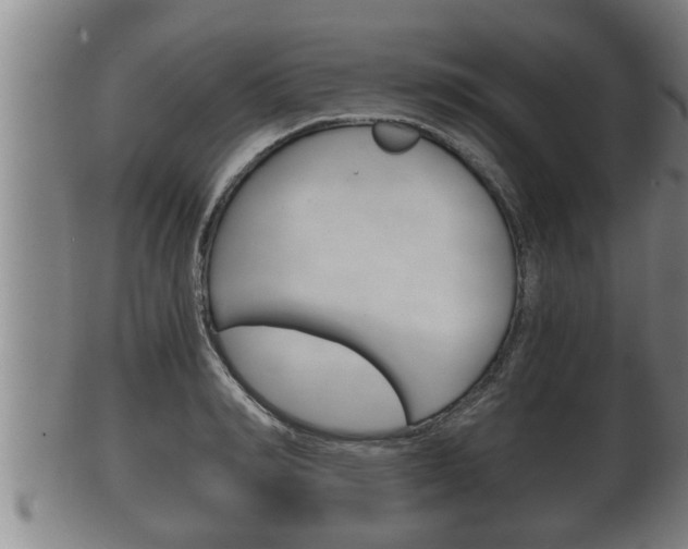 X0000100370990200806060758