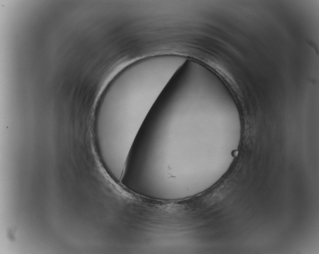 X0000100370992200806060758