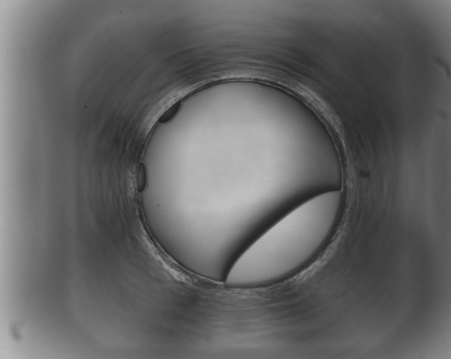 X0000100370993200806060758