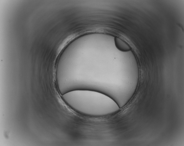 X0000100370994200806060758