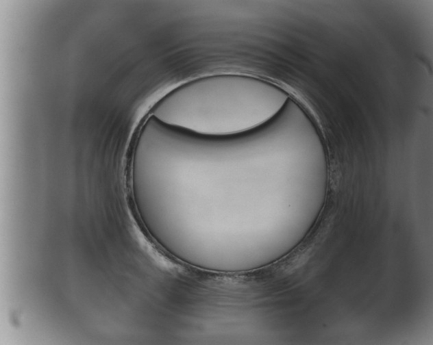 X0000100370995200806060758