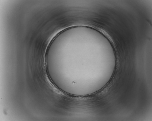 X0000100370996200806060758