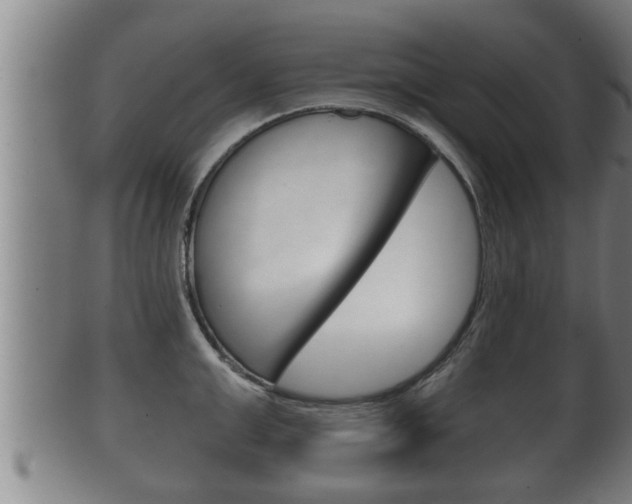 X0000100370999200806060758
