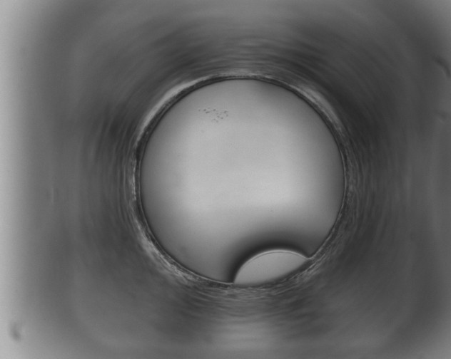 X0000100371000200806060758
