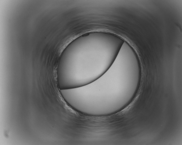 X0000100371001200806060758