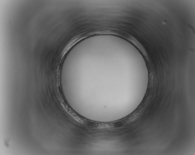 X0000100371002200806060758