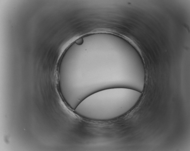 X0000100371003200806060758