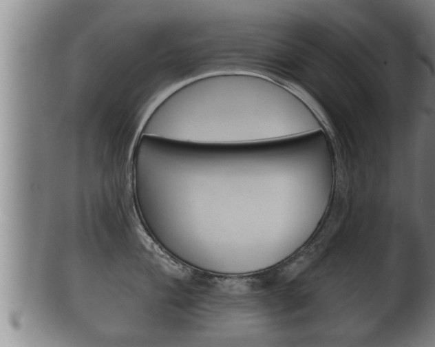 X0000100371004200806060757