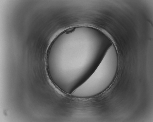 X0000100371005200806060757