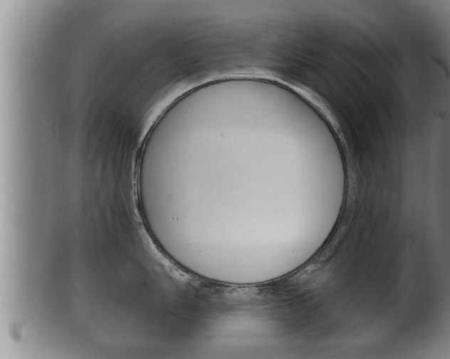 X0000100371006200806060757